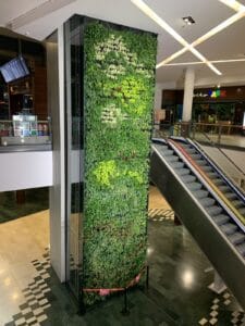 Miranda Jardineria S.L