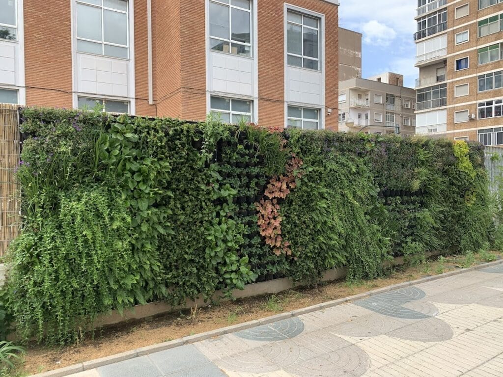 Miranda Jardineria S.L — Servicios en Cabo de Palos