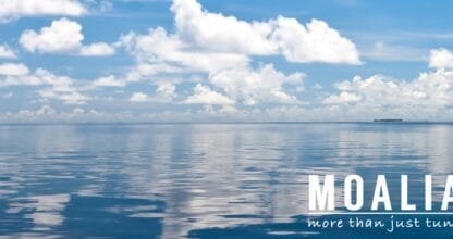 Mar en calma con cielo azul y nubes blancas reflejadas en el agua, imagen corporativa de MOALIA more than just tuna
