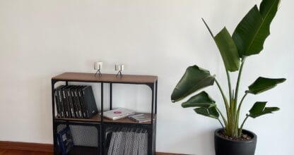 Recepción de Novahomes Management con logotipo dorado en pared blanca, estantería de carpetas y planta tropical decorativa