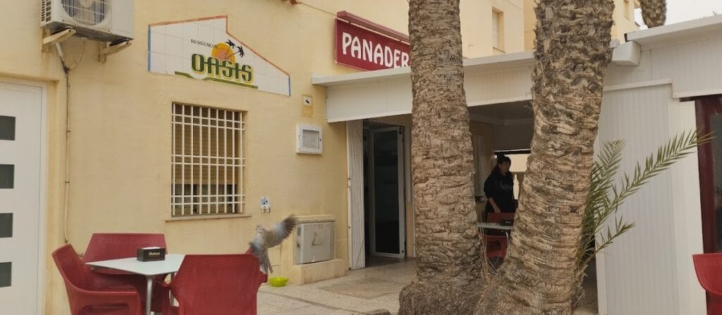 Entrada de la Panadería Cafetería Hnos. Pedregal en La Manga del Mar Menor con cartel rojo, palmeras y terraza con sillas rojas