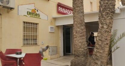 Entrada de la Panadería Cafetería Hnos. Pedregal en La Manga del Mar Menor con cartel rojo, palmeras y terraza con sillas rojas