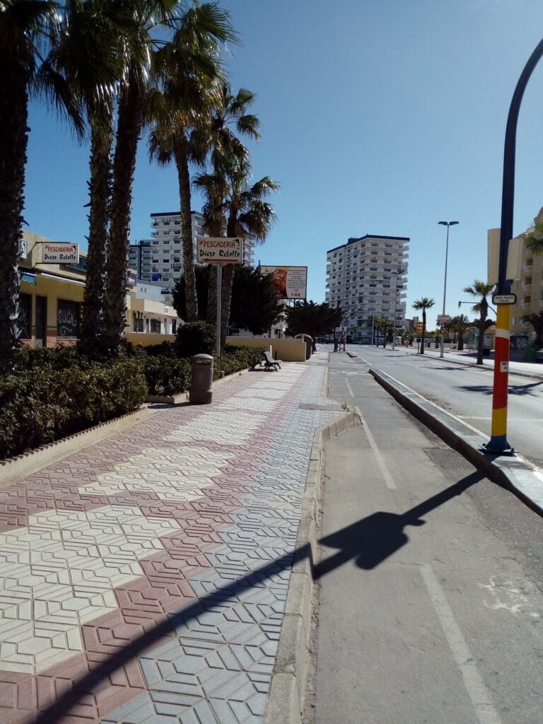 Avenida peatonal de La Manga del Mar Menor con palmeras y cartel de Pescadería Diego Rebollo visible entre la vegetación junto a la calzada
