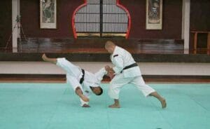 Shorinji Kempo Cabo de Palos – Shinko Dojo