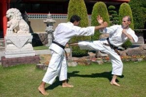Shorinji Kempo Cabo de Palos – Shinko Dojo — Salud & Belleza en Cabo de Palos