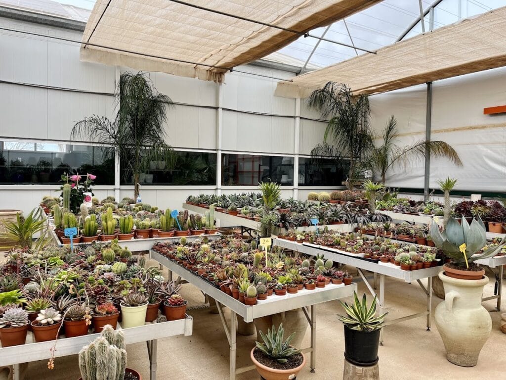 Vivero Villa Garden Golf S. L. — Alojamientos en La Manga Club